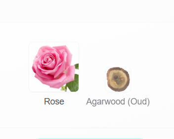 Ahmed Al Maghribi Oud and Roses fragrance notes: rose and agarwood (oud)