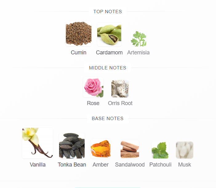 Rasasi Daarej fragrance notes - cumin, cardamom, rose, vanilla, tonka bean, sandalwood