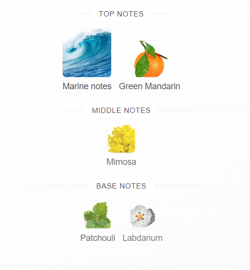 Acqua di Gio Profondo Parfum fragrance notes: marine notes, bergamot, violet leaf, lavandin, cistus, patchouli and vetiver