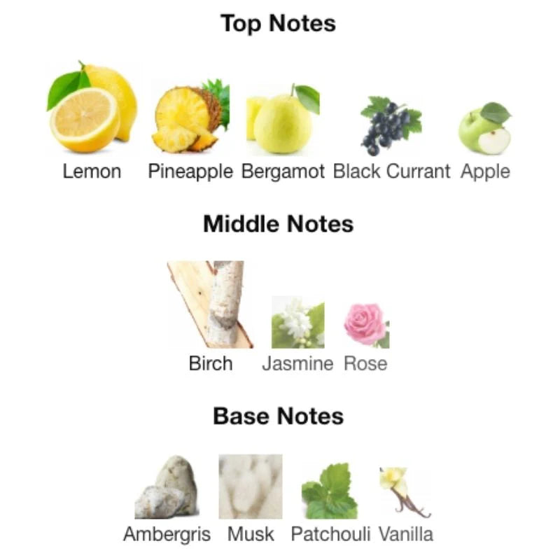 Chart showing top, middle, and base notes of a fragrance with corresponding images of fruits, plants, and flowers.