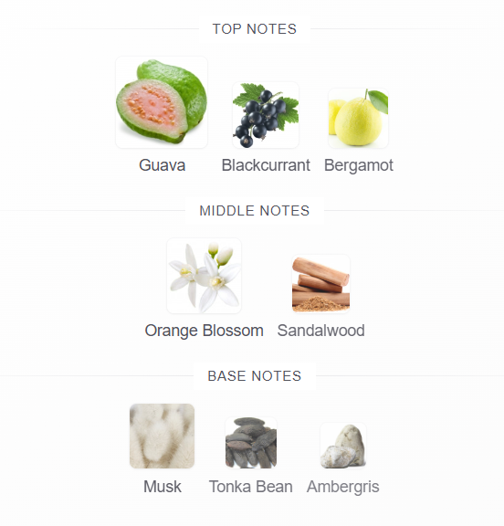 Rasasi Hawas Sapphire fragrance notes: bergamot, blackcurrant, guava, orange blossom, sandalwood, musk, tonka bean and ambergris