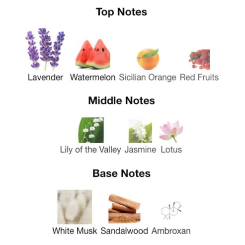 Chart of top, middle, and base notes with corresponding images and labels.