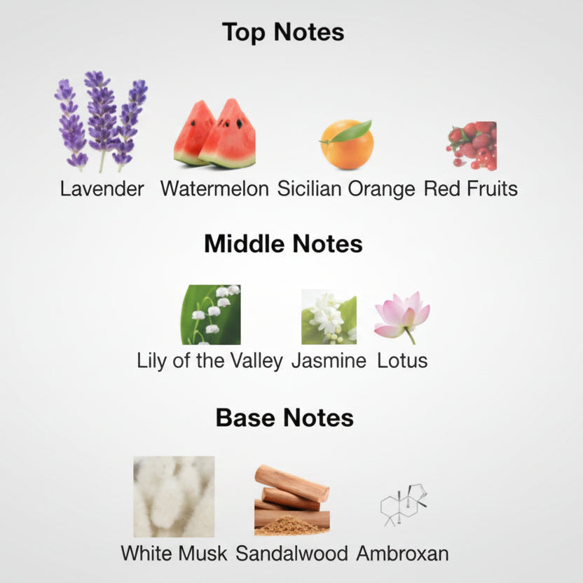 Chart of top, middle, and base notes with corresponding images and labels.
