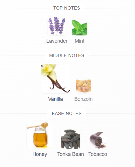 Jean Paul Gaultier Le Male Elixir fragrance notes - lavender, mint, vanilla, benzoin, honey, tonka bean, tobacco