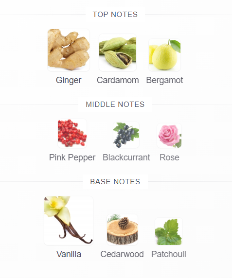 Afnan Lynked Freedom fragrance notes: bergamot, grapefruit, sage, cardamom, lavender, juniper, caramel and vetiver