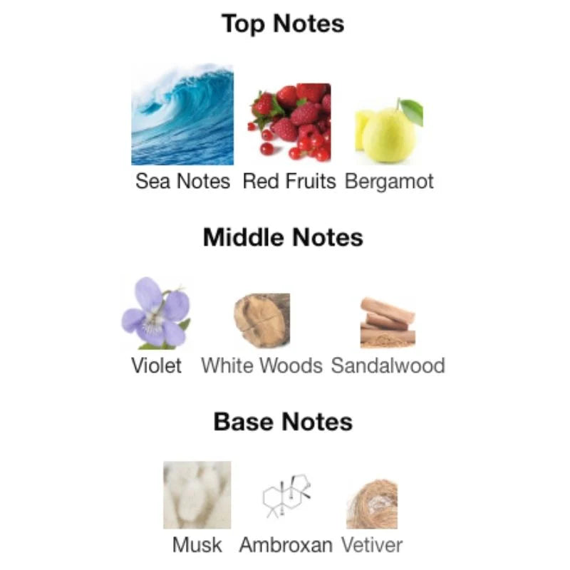 Armaf Club De Nuit Milestone fragrance notes — top sea notes, red fruits, bergamot; middle violet, white woods, sandalwood; base musk, ambroxan, vetiver