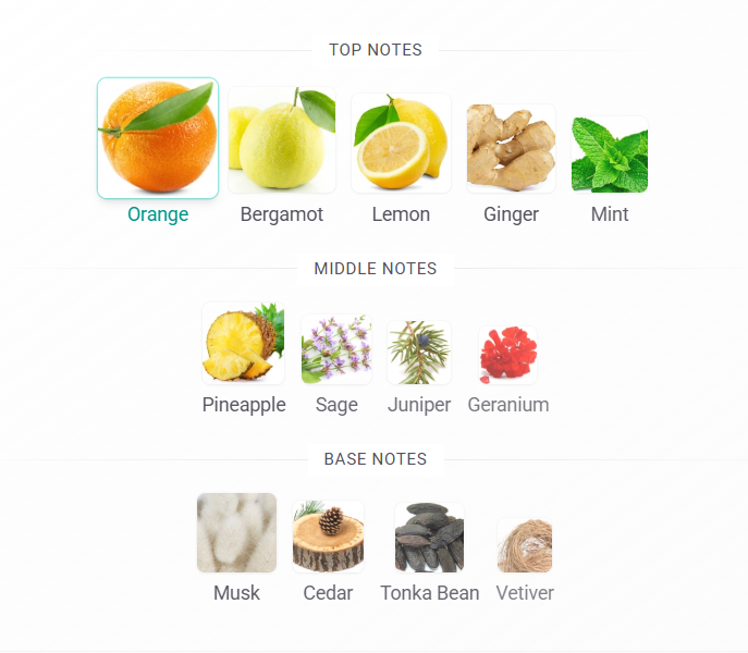Chart of top, middle, and base notes with corresponding images on a white background