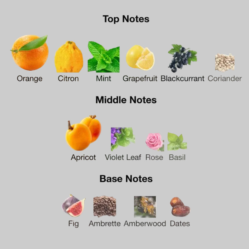 Chart of top, middle, and base notes with corresponding fruit and plant icons on a white background.