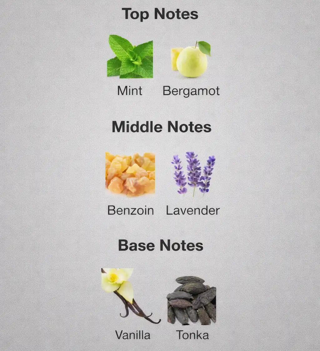 Notes Rayhaan Elixir