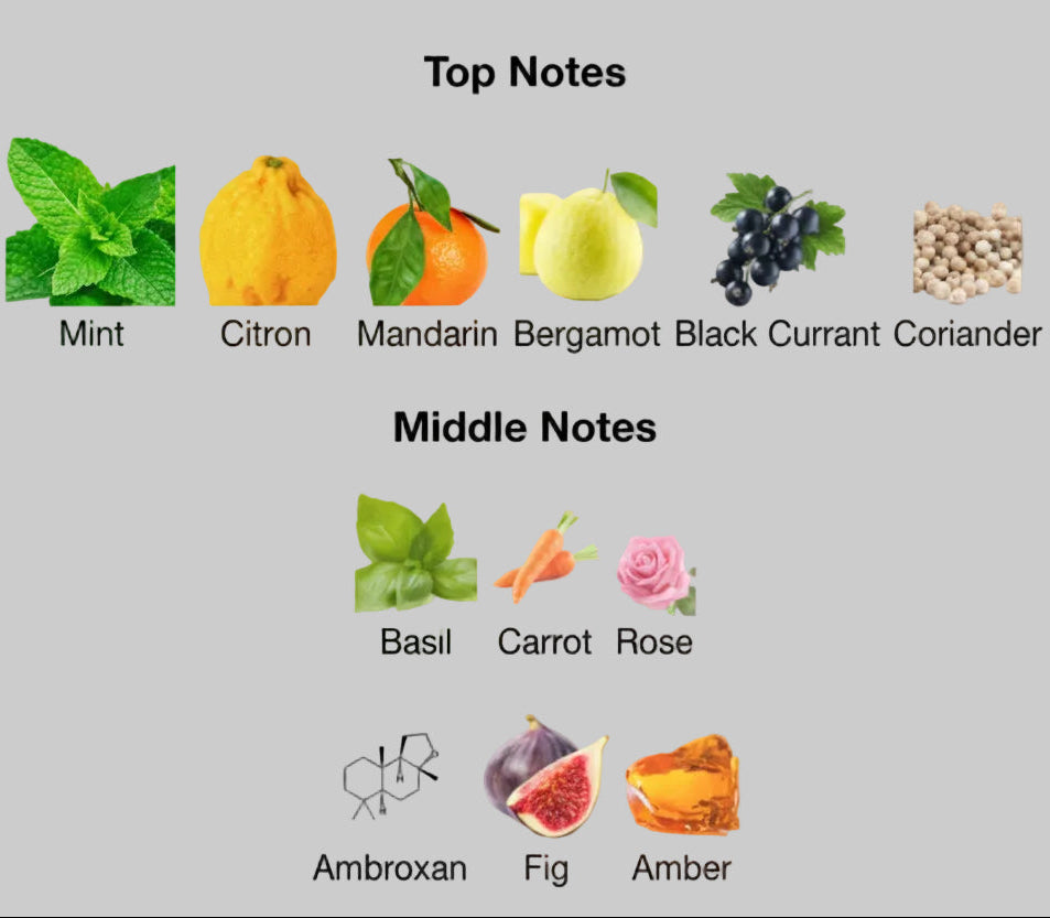 Chart of top, middle, and base notes with corresponding images on a white background
