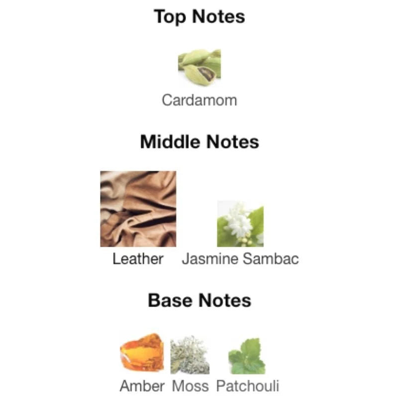 Tom Ford Ombré Leather fragrance notes — black leather, cardamom, jasmine
