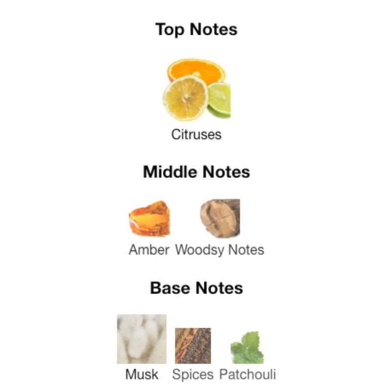Diagram of top, middle, and base notes in a fragrance with corresponding images.